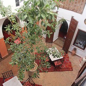 Riad Tizgui Celine