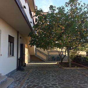 B&B 